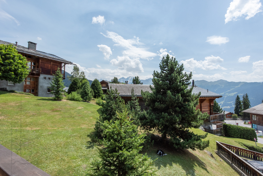 chalet-verseau-15-verbier-jardin-vue-montagnes-08.jpg