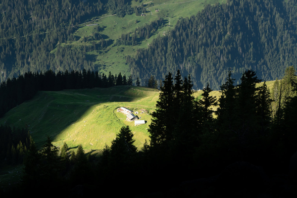 The chamois trail - Verbier