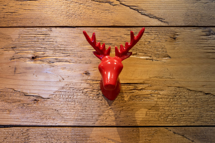 appartement-victoria-a-211-verbier-decoration-tete-cerf-14.jpg